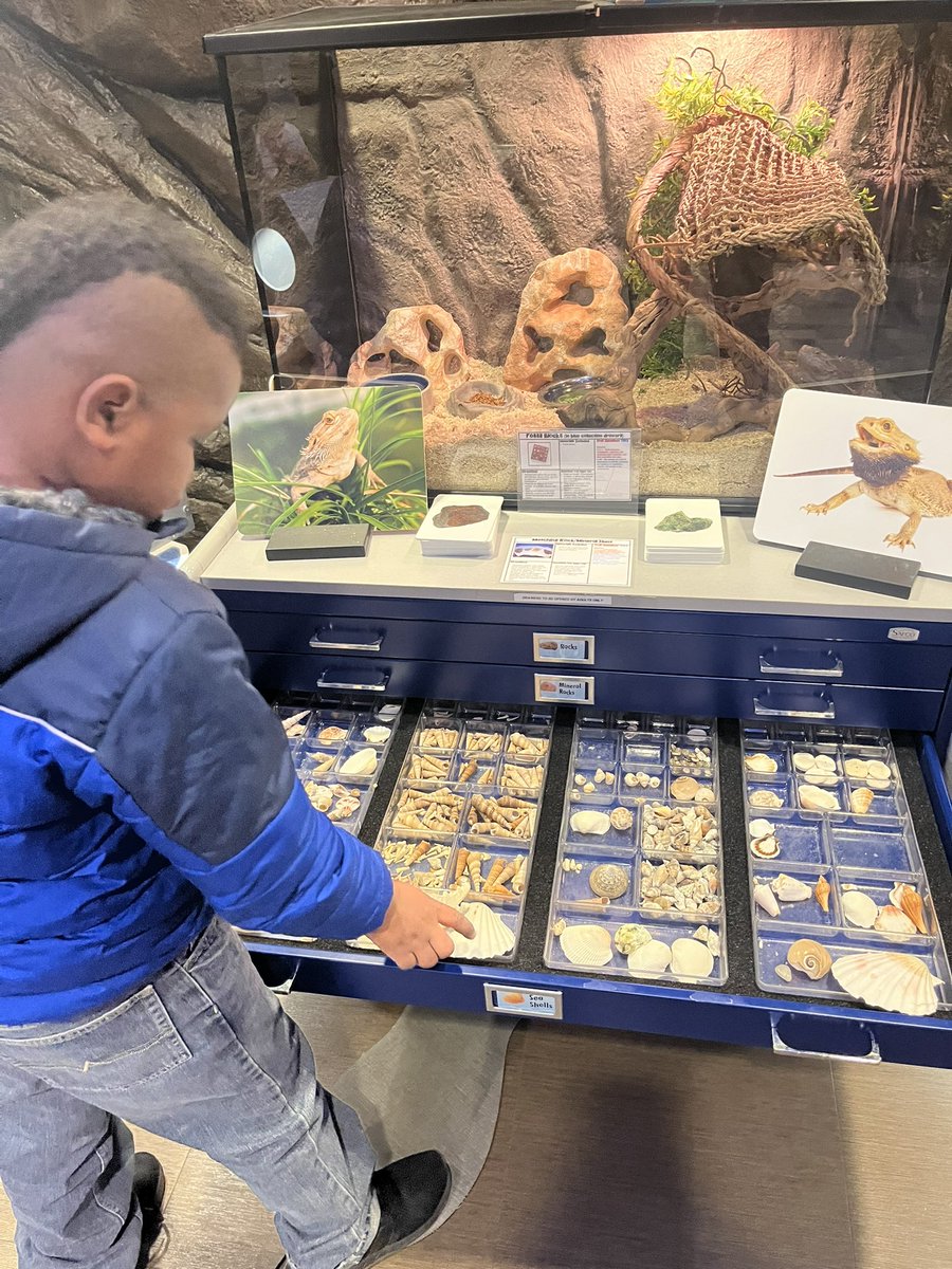 Region7EcoLand's tweet photo. Students from Harleton ISD enjoyed visiting EcoLand!  Terry 🐸always loves ❤️ when they visit!! @Region7ESC @HarletonISD https://t.co/BurxWn19bi