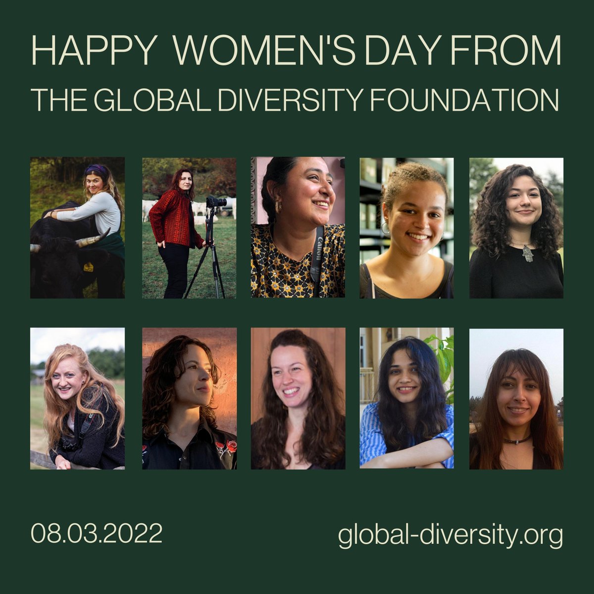 Global Diversity Fd tweet media