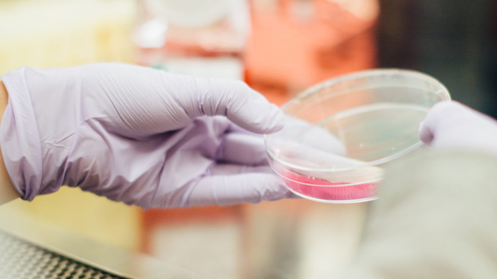 IVAAmeds's tweet photo. The #AMRStakeholderNetwork has put forward a Good Practice Report w/ initiatives, proven effective in tackling #AntimicrobialResistance.
Learn more, including how #IntegrativeMedicine can contribute to putting prevention at the heart of #AMR policymaking��https://t.co/CIii890Tx8 https://t.co/GB6LPvoFTc