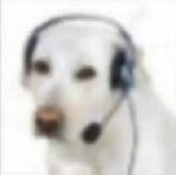 on the phone to Spotify support rn