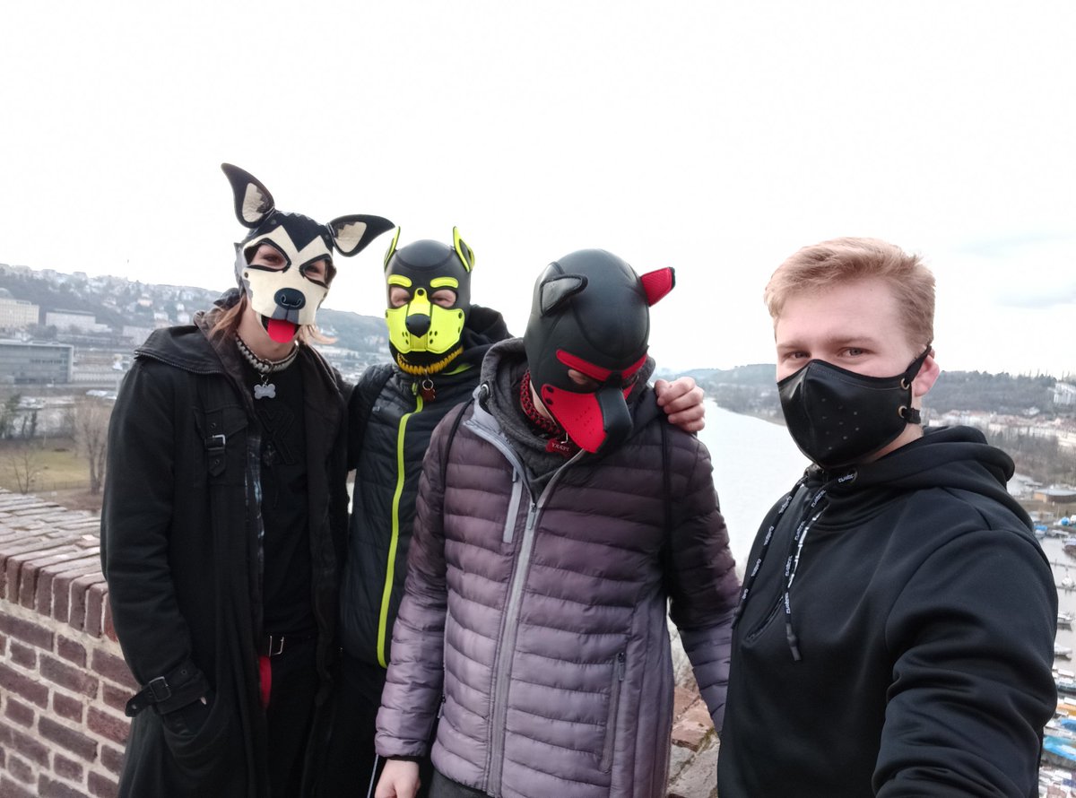 PuppyPerry1's tweet photo. Very nice weekend 🥰🐶🥰
@Puppy_Tomik 
@_Kuro_exe 
@Erboy692 https://t.co/EBYwzFlMfA