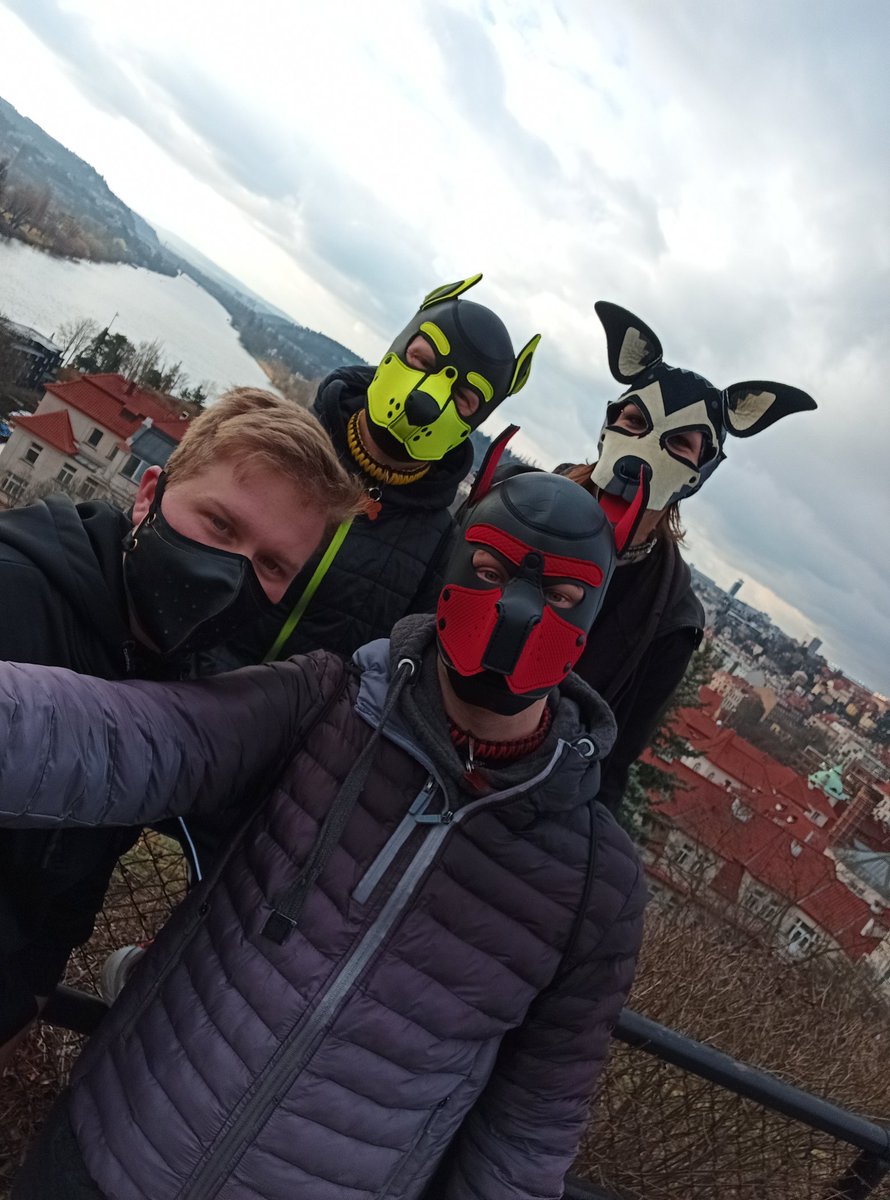 PuppyPerry1's tweet photo. Very nice weekend 🥰🐶🥰
@Puppy_Tomik 
@_Kuro_exe 
@Erboy692 https://t.co/EBYwzFlMfA