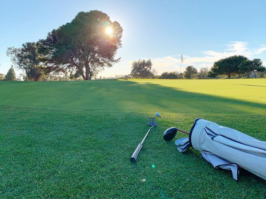 pkglam9's tweet image. What do you like to do after golfing?