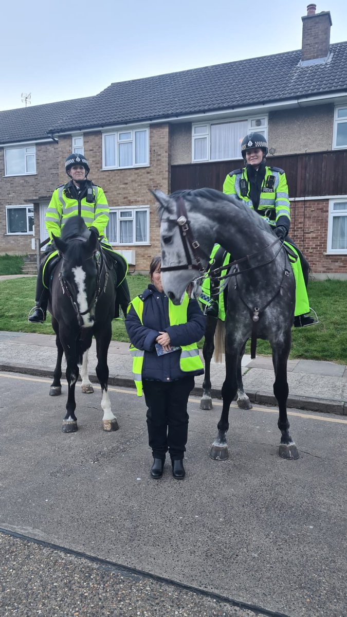 Havering Street Watch tweet media