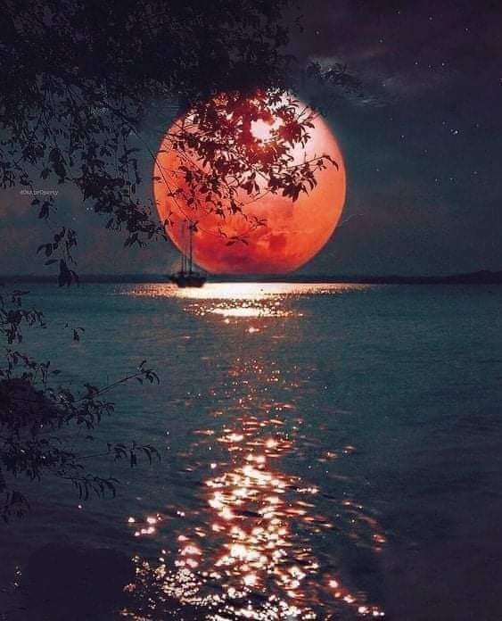 ليت من نغليه يدري وش غلاه
بالخفوق اللي غد في قبضته

الخفوق اللي تملك به هواه
لاطريت اسمه تسارع نبضته
(مجنون النزيه)