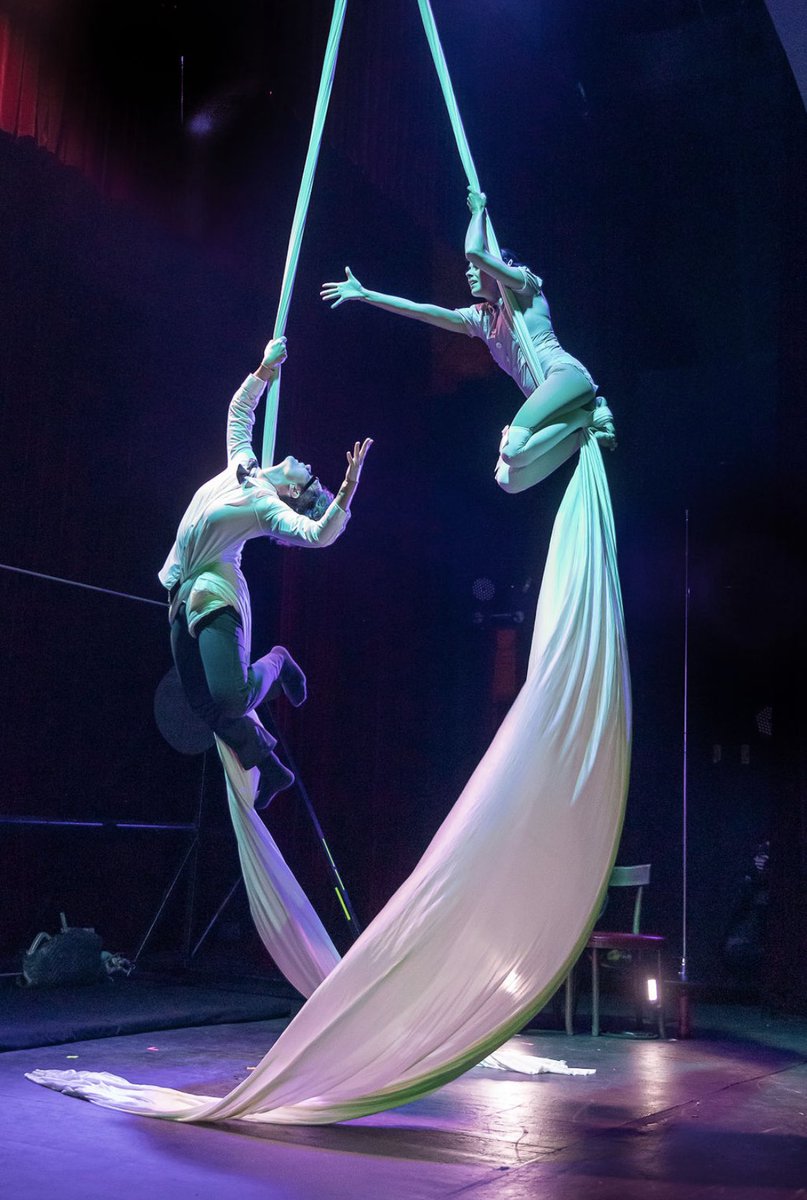 Vespertine Circus tweet media