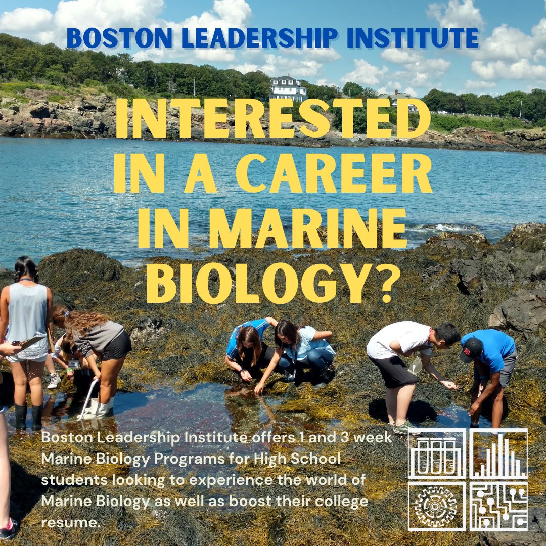 Boston Leadership Institute tweet media