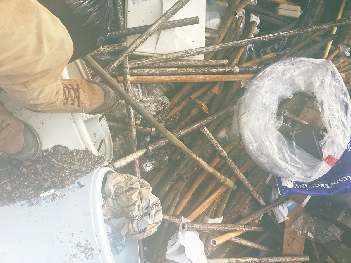 CardanoNoodz's tweet image. Found all these sick NFTz while Fiat Mining #RAREaf #YoureMyOneOfOne #HODL