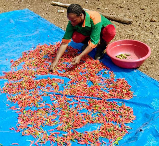 Virginie de BAGLION DE LA DUFFERIE tweet media