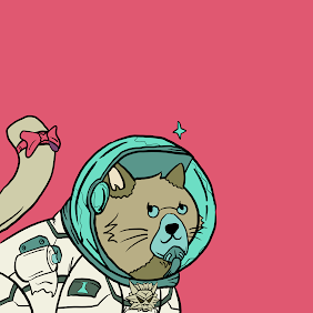 EladAssia's tweet photo. I have a cat 😻 from out of space 🤣🤣🤣
Thank you @AAstronautNFT for this #NFT of astronaut cat 🛸  
Check the website:
https://t.co/iQavSi4qzN
#NFTCommunity #NFTGiveaways https://t.co/OEyNwx5EXK