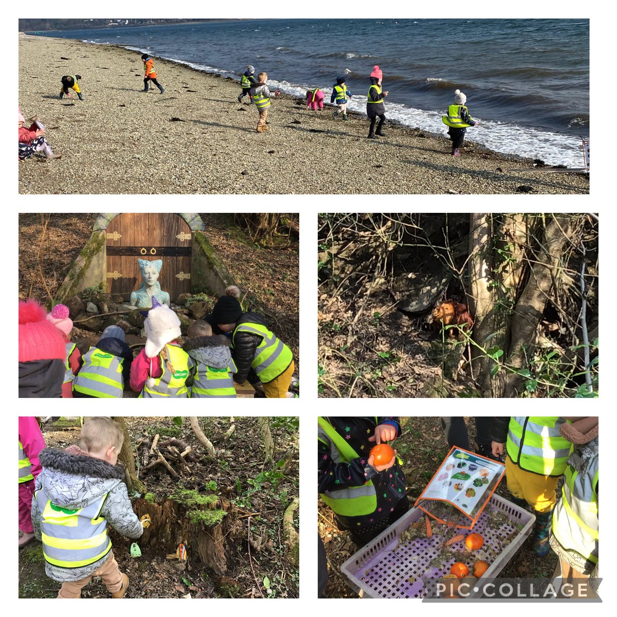 sutcliffejan33's tweet photo. A lovely day exploring the assets within the community. We even spotted a lion in the woods! Where did he come from? #adventures #3assets #outdoorlearning #community @EYArgyllBute @RosneathPrimary https://t.co/drkOG8L9fa
