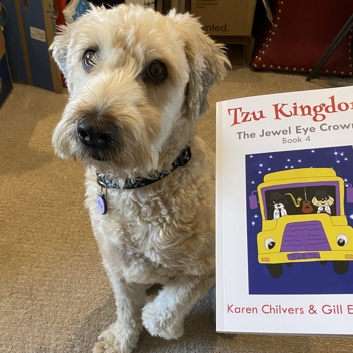 MadSCWT's tweet photo. Ollie is so excited to begin reading #TzuKingdom Book 4: The Jewel Eye Crown👑😃💚🐾✨ @TzuKingdom https://t.co/330mEuDuzv