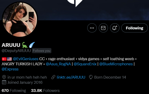 SedyTo's tweet image. Just noticed this. Mom, I've made it.....an inspiration for any international turkish content creator.🥺✨ beni takip ettiğin için tşk, cutie.@DeputyARUUU   #fangirling