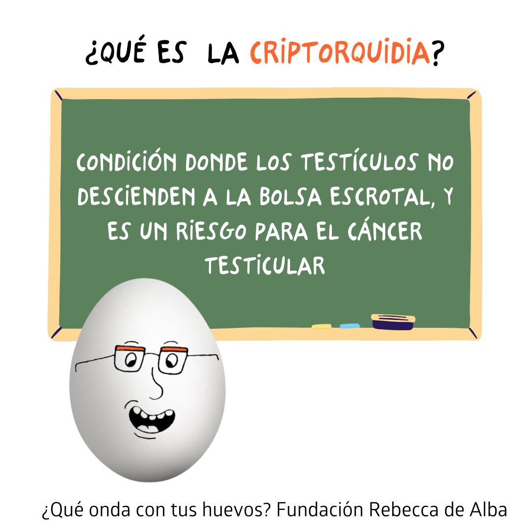 saludmasculina_'s tweet photo. ¿Qué es la #criptorquidia? https://t.co/ytAZvEqj1a