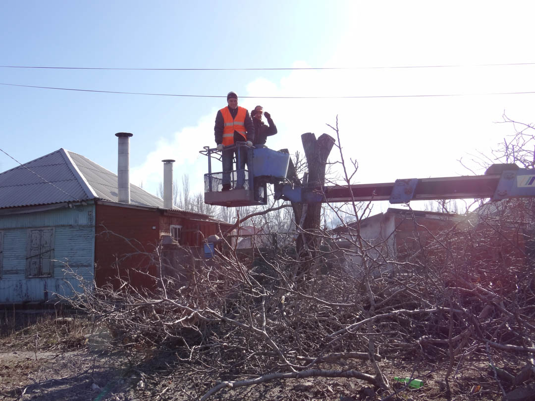 G2GTreeService's tweet image. To take advantage of affordable Tree Removal services in the Circleville area, call us today at (614) 639-0581. #TreeRemoval #TreeTakedown #TreeService bit.ly/3BtJuPR