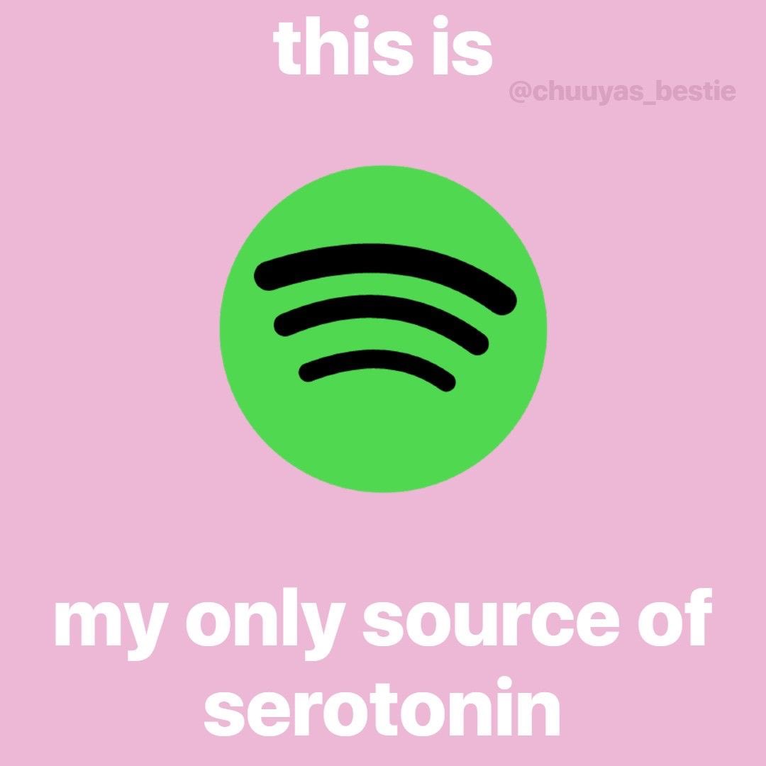 vromvrommadie's tweet photo. So after 30 stressful minutes of Spotify down we conclude: https://t.co/fIrskUUMV5