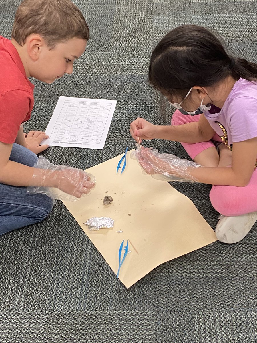 Ms. Waters tweet media