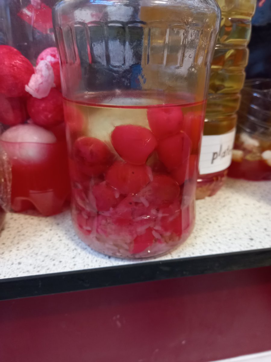 _eimhin_'s tweet photo. 1 Boyne @BHCMonaghan made models of the blood over Midterm 🫀🔬
Some very creative ideas to represent the different types of cells that make up the blood! 
#Biology #juniorcyclescience #modelmaking https://t.co/n8BLH9Jja5