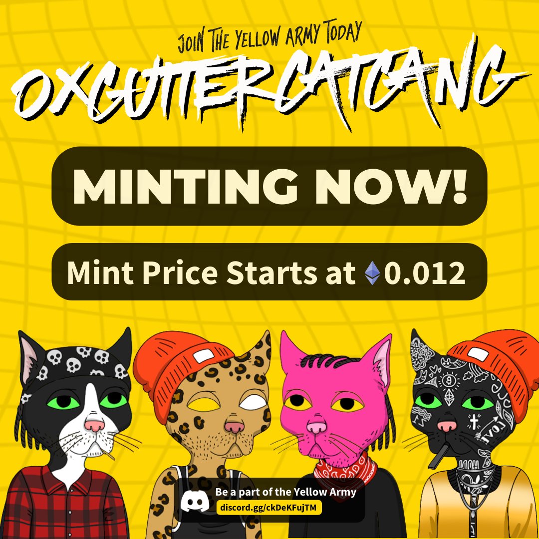 0xGutterCatGang 🟨🟨🟨 tweet media