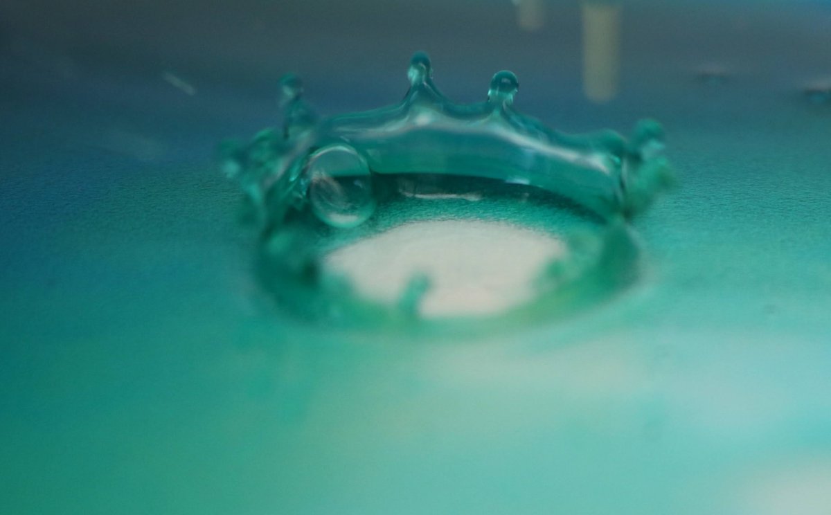 Lisa Winkler tweet media