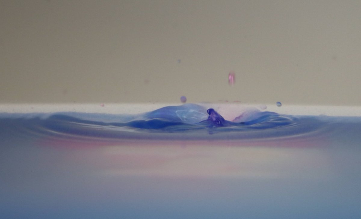 Lisa Winkler tweet media