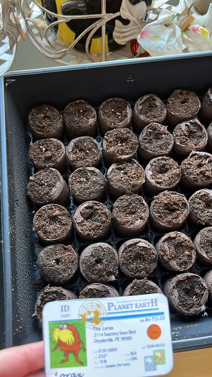 apes_adrianab's tweet photo. Every year my parents start some plants for our garden. They have to use the right fertilizers and soil for each type to make sure they grow nicely @franklinlorax #apesland https://t.co/mLSeRbjNiX