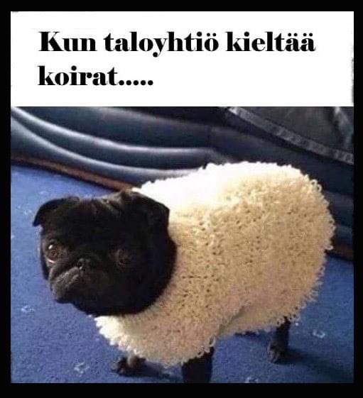 Hyvää yötä rakkaat❤️😘