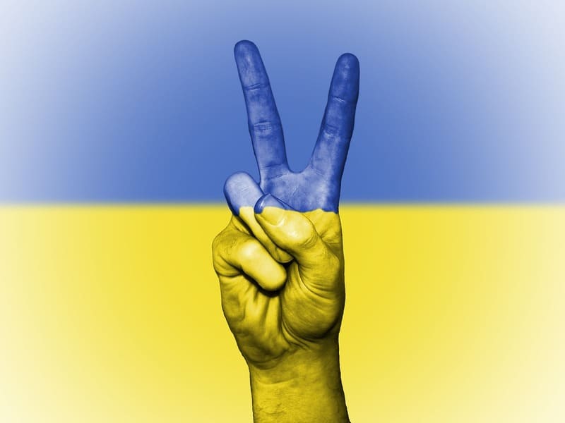 Veemo stands with the people of Ukraine, who have been subjected to the unnecessary suffering due to the Russian government’s brutal and senseless invasion of a sovereign nation, in a way not seen in Europe in decades. Read more at veemo.ca/blogs/news/vee…