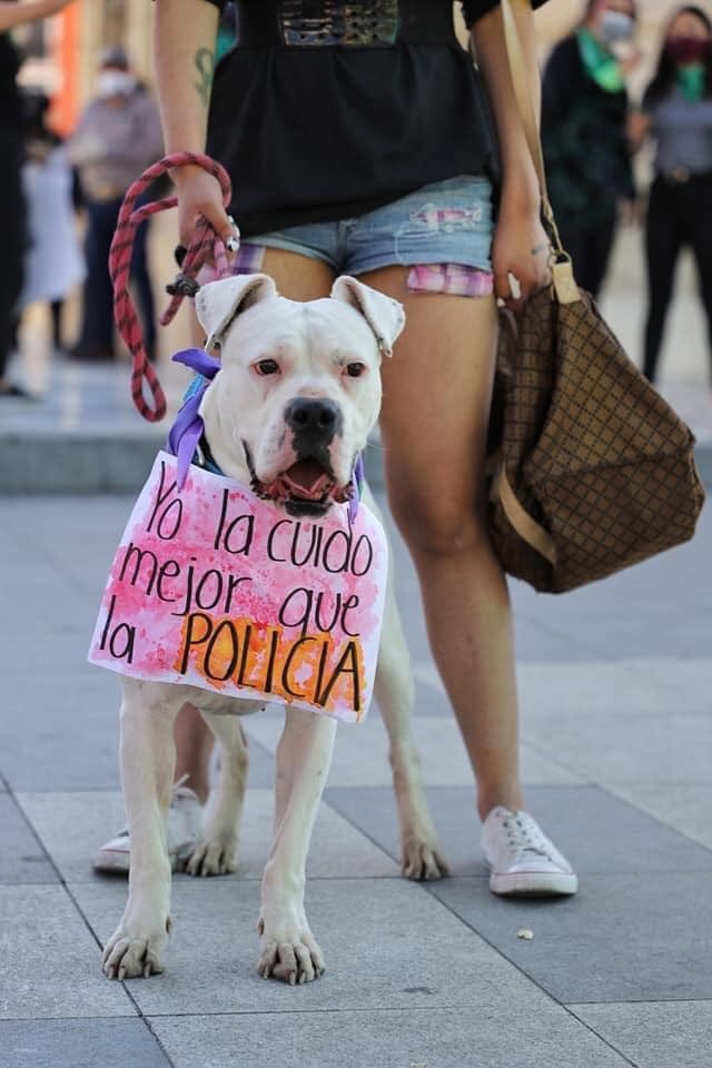 #8Marzo2022  #NiUnaMenos  #FuimosTodas #8M #InternationalWomensDay  #Marcha8M  Spotify