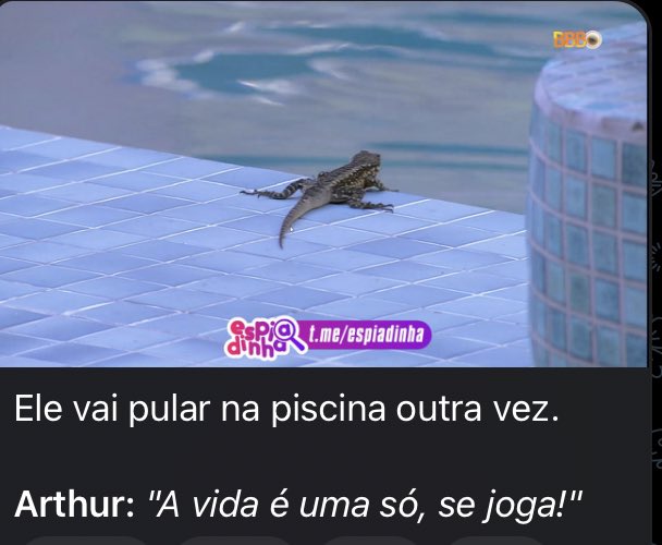 paiva tweet picture