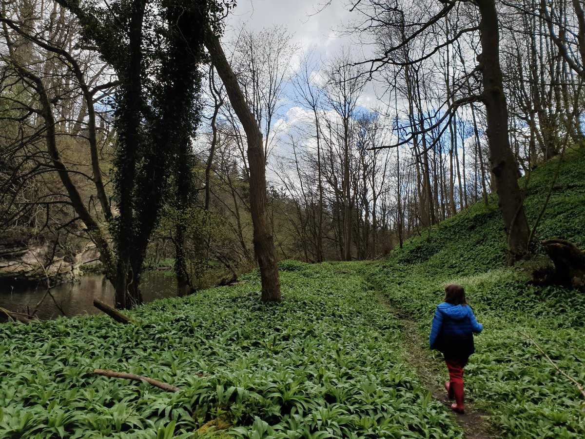 "I am no bird; and no net ensnares me; I am a free human being, with an independent will" 

Happy #InternationalWomensDay ♀️