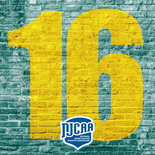 We're moving on up!

Panthers' Baseball moves up to 16th in the nation in the latest NJCAA Division II Baseball rankings!

njcaa.org/sports/bsb/ran…

#FearTheClaw