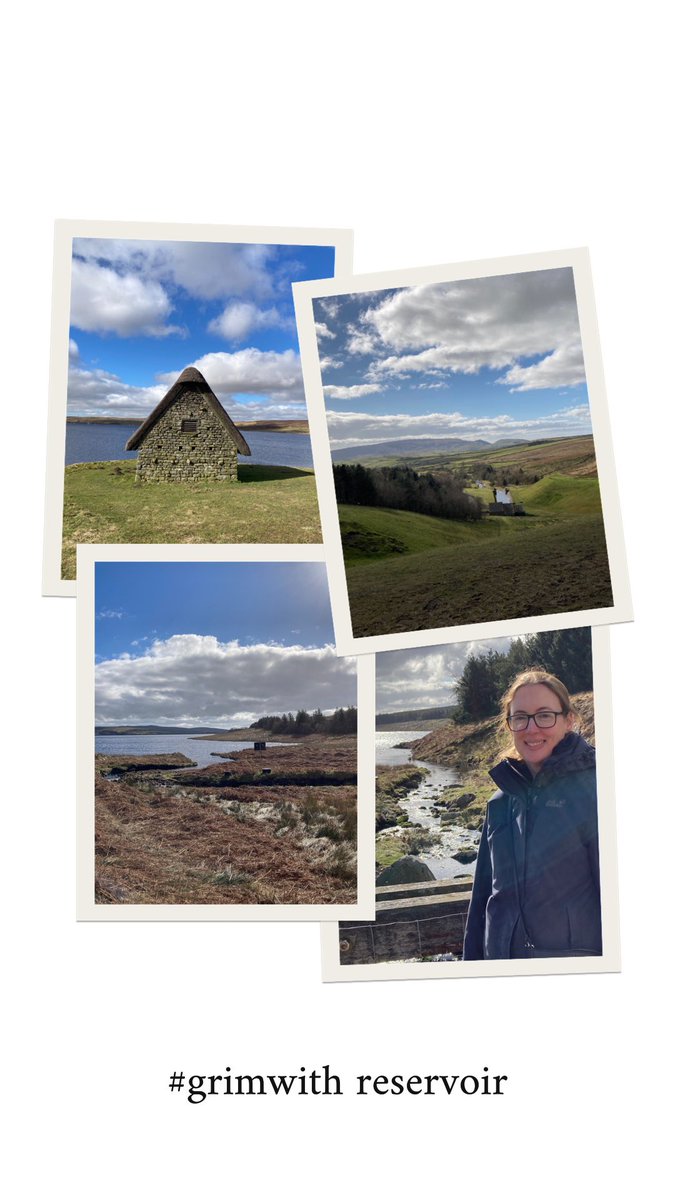 SteffiCallaghan tweet media