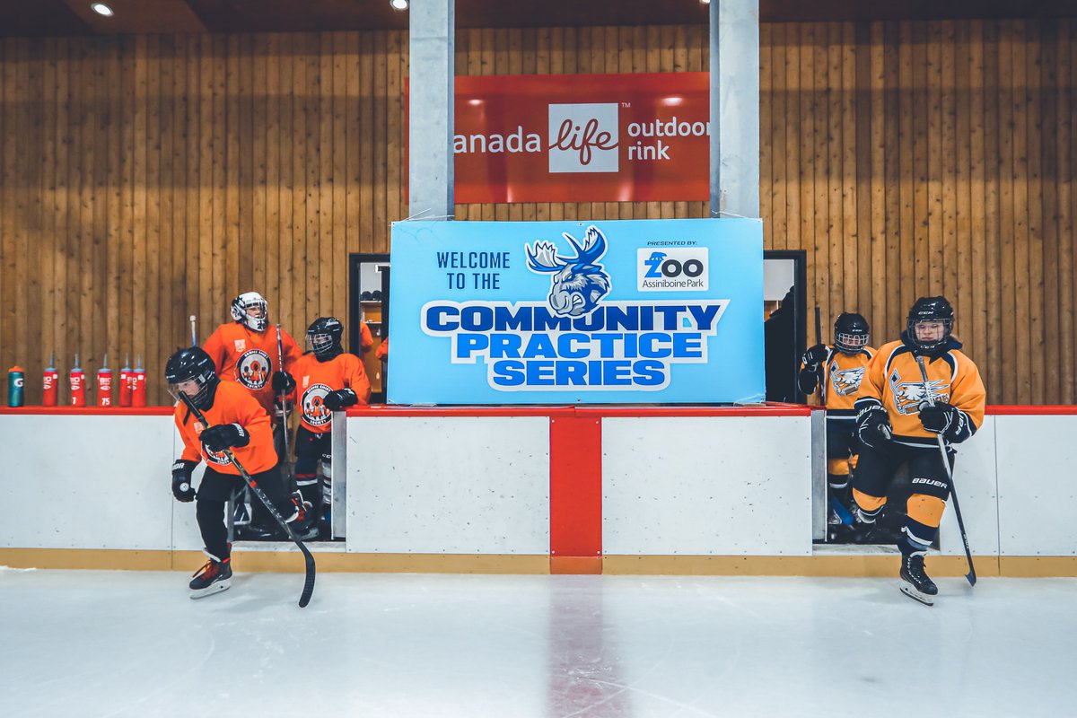 ManitobaMoose's tweet photo. Had a blast with these four teams from across the city at last nights #CommunityPracticeSeries presented by @assiniboinezoo ๐๐ฅ
Nothing better than skating with your friends at the dreamiest outdoor rink in the city! #GoMooseGo https://t.co/bx3w5d5PT6
