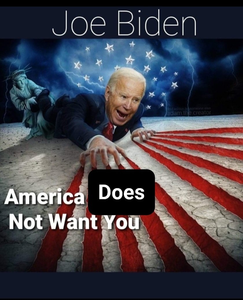 Chihuahuamom22's tweet photo. We Don't Won't You Joe #gohomebiden https://t.co/HBD88mM7B2