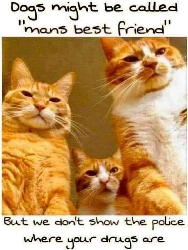 Memesdotjpg's tweet image. #StopSnitching