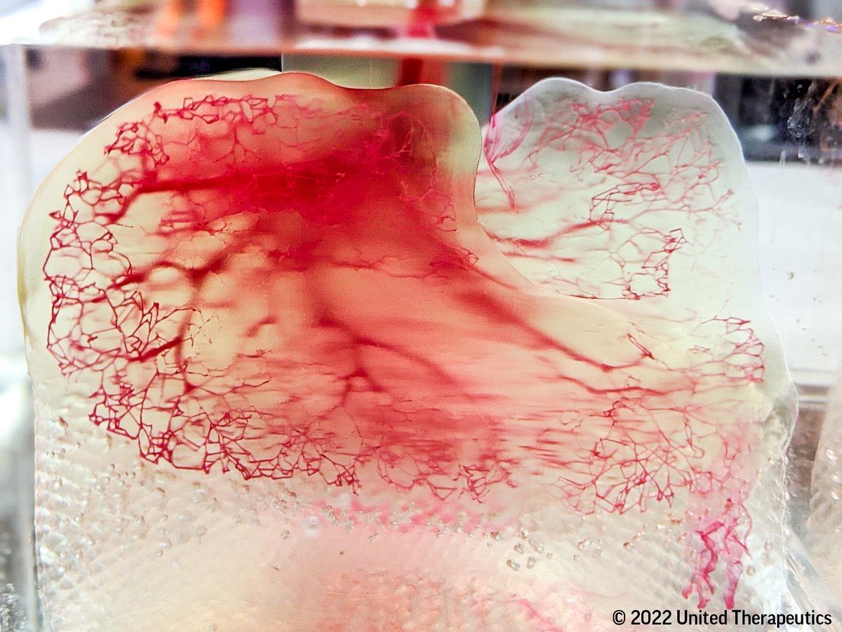 Jordan Miller tweet media