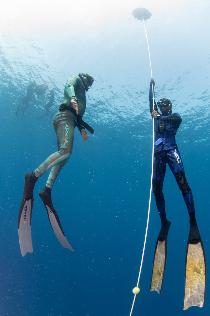 diveoceanus's tweet photo. Congrats 🎉🎈🎊 to our Team members completed their Advanced Freediver Instructor & Master Freediver Instructors ratings !!!
Our instructors will soon reach out to Resort team members shortly in preparation for #Neyvaa world record attempt scheduled for October 2022 https://t.co/3c4ftadAZk