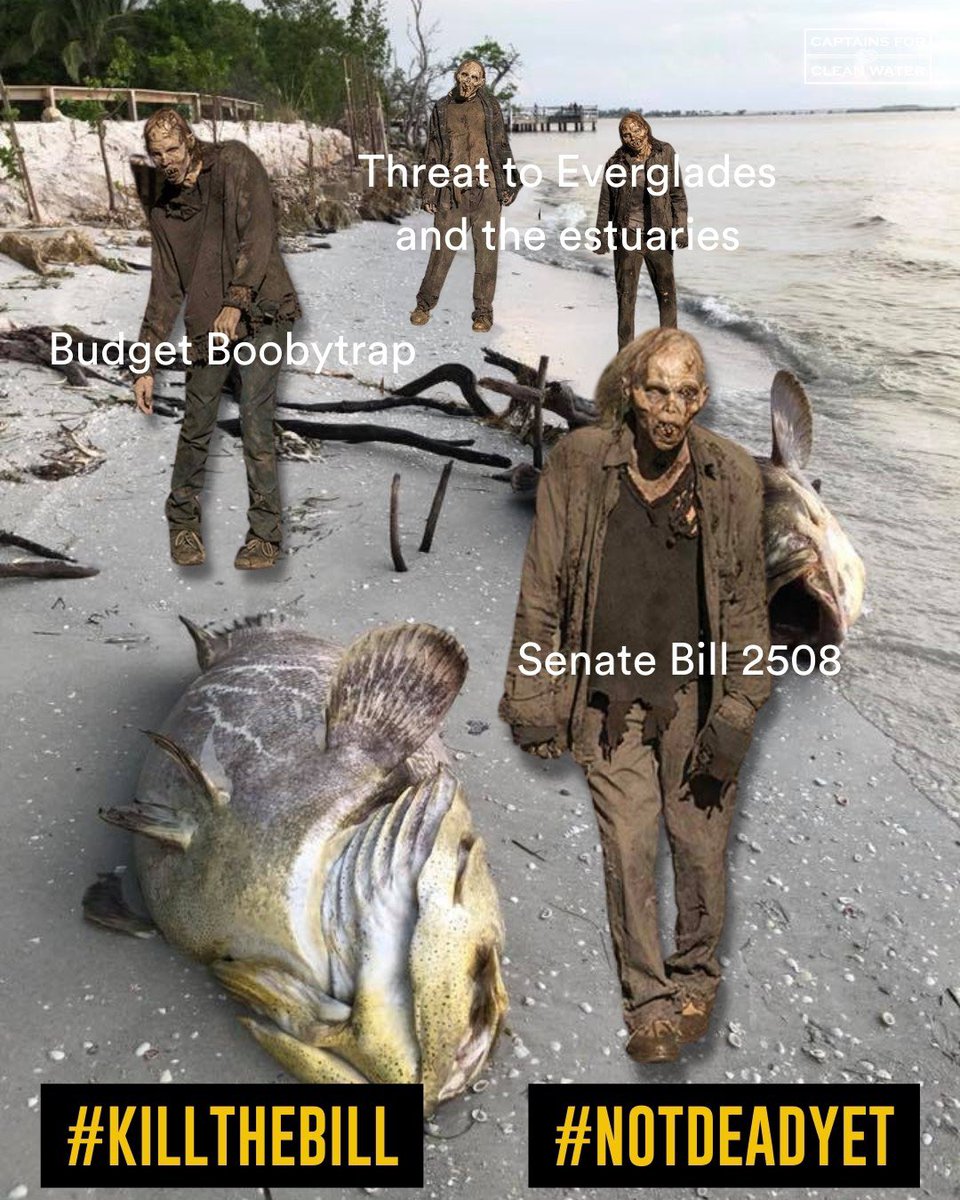 Captains For Clean Water tweet media