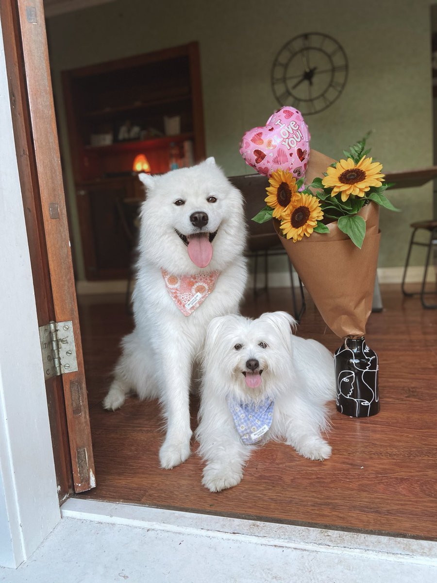 Who else loves flowers ?✨🤍