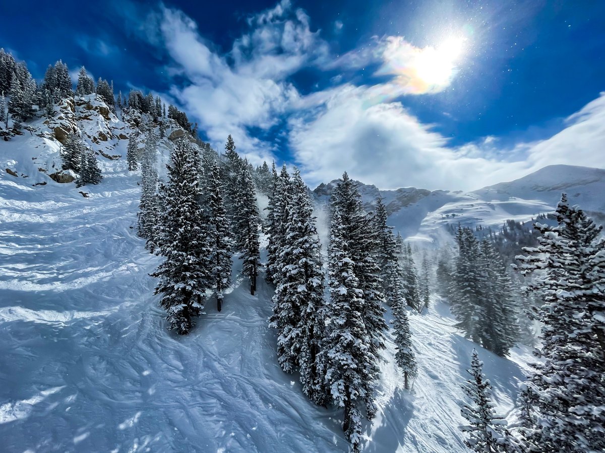 TonyKorologos's tweet photo. The pow was so fluffy and light from the last storm that it formed clouds when it blew off the pine trees.  #blowerpow https://t.co/KiVrWAoCJ6