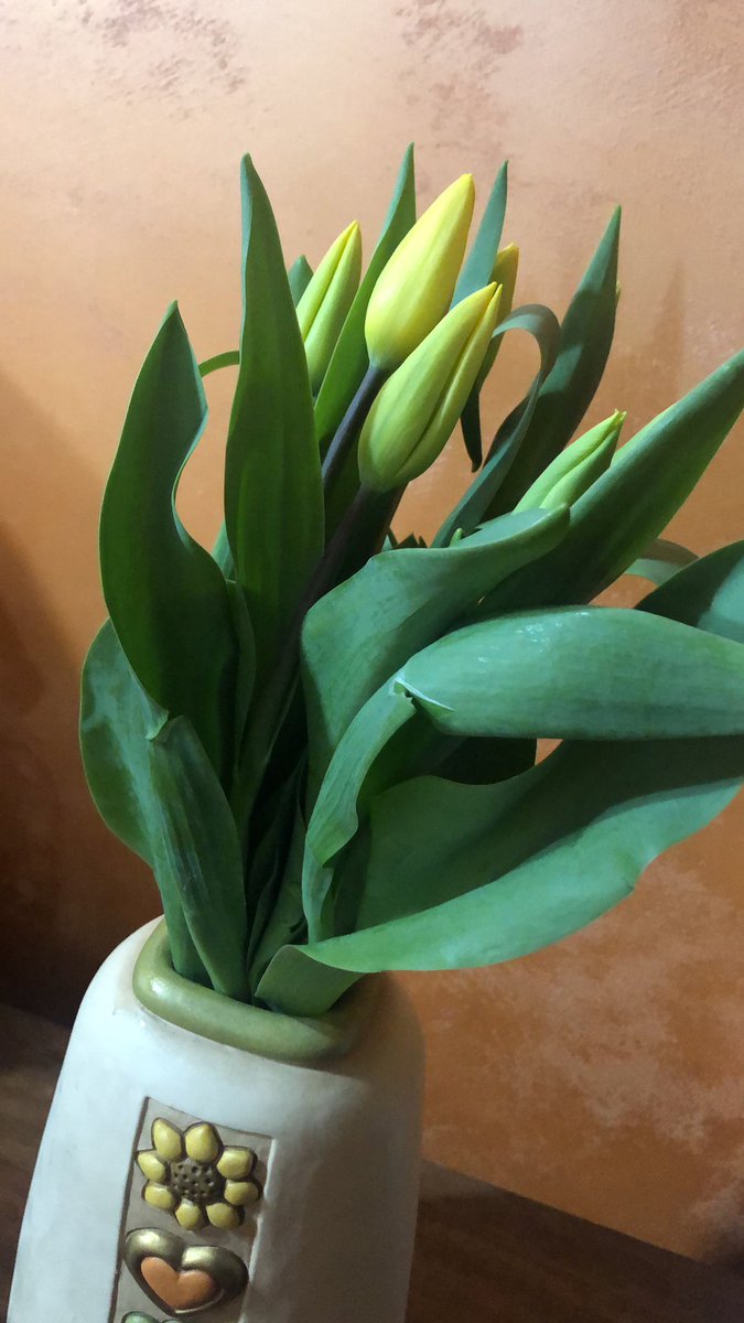barbara_busini's tweet photo. Un gesto inaspettato 🌼 🌼 🌼 Buona festa della donna.. 🌼 
Chi dice DONNA dice DANNO.. 🌼

Ed è vero perché..

🌼Danno la Vita,
🌼Danno la Speranza,
🌼Danno il Coraggio,
🌼Danno il Conforto,
🌼Danno se stesse per Amore!

🌼🌼 Buona festa della Donna a tutte 🌼🌼
@Rosarossa4ever https://t.co/1Q990OfI9E