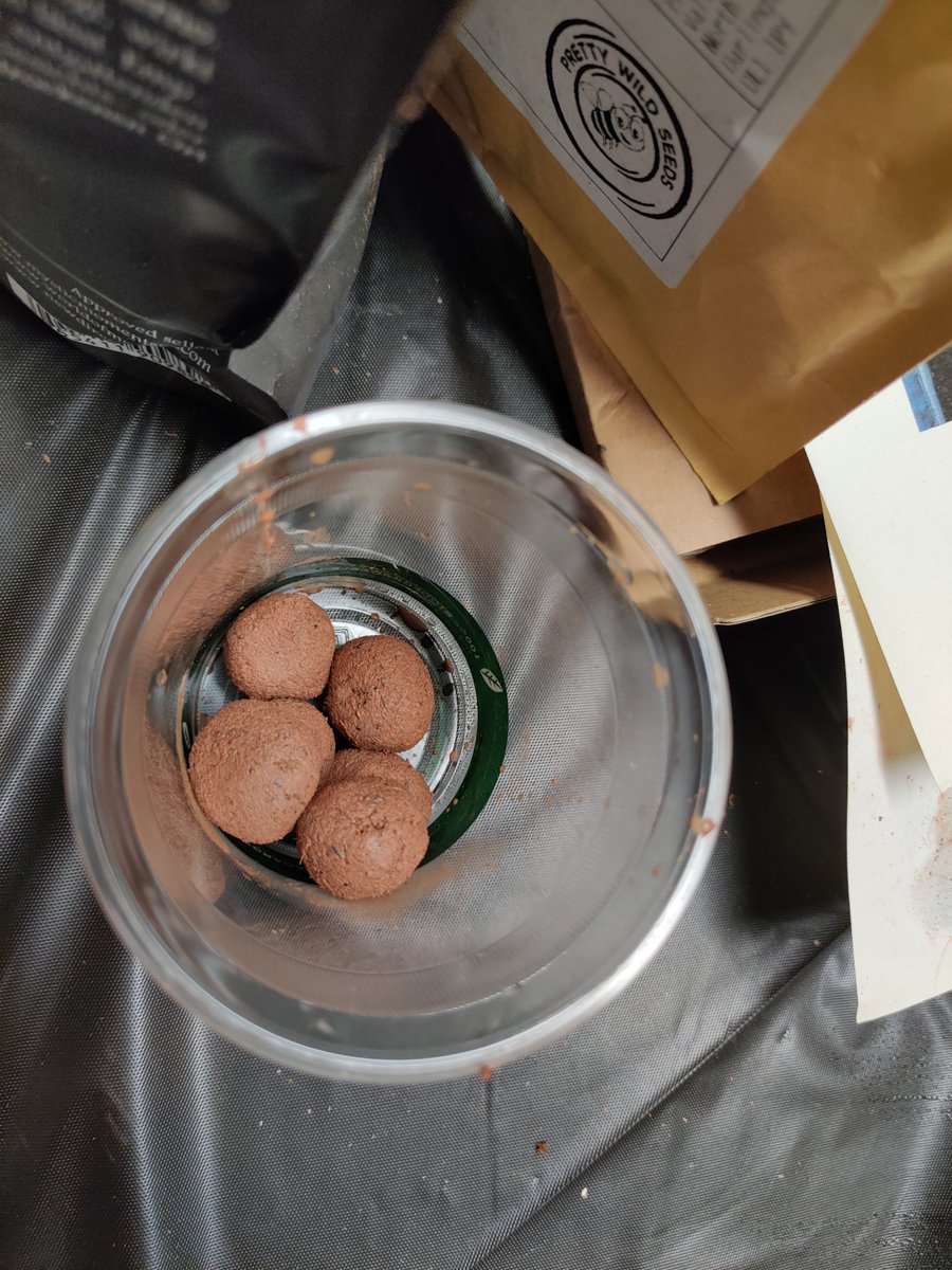 GraftLancs's tweet image. Had a brilliant session with @PropUpProject1 youth group in Carnforth this evening testing out @ourchangebox crafts for a new Change in a Box kit coming soon! 🎨🌱