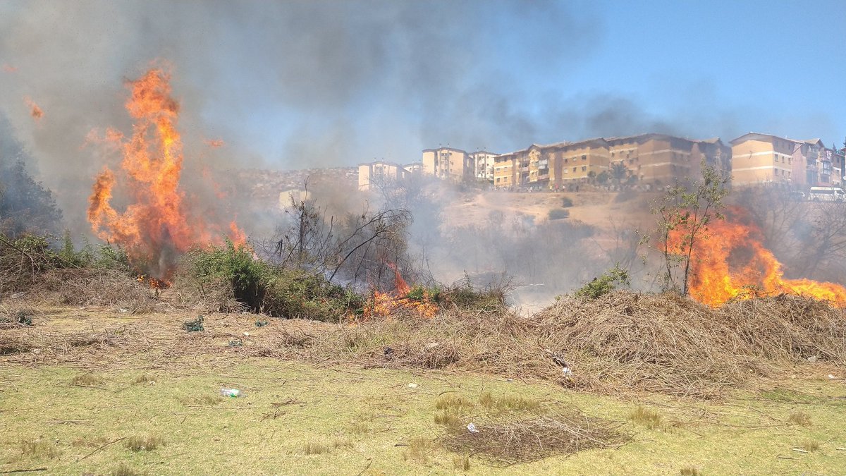 PCivil_informa's tweet photo. Una superficie consumida de 3.600 mts2 de pastizal,arbusto y zarzamora deja incendio forestal en sector entre Mirador de Reñaca y Villa Ruckan
El trabajo de @bomberosvina @conaf_minagri camiones aljibes de @MAmbienteVina permitió el control de esta emergencia https://t.co/Qt7TKLUPE4