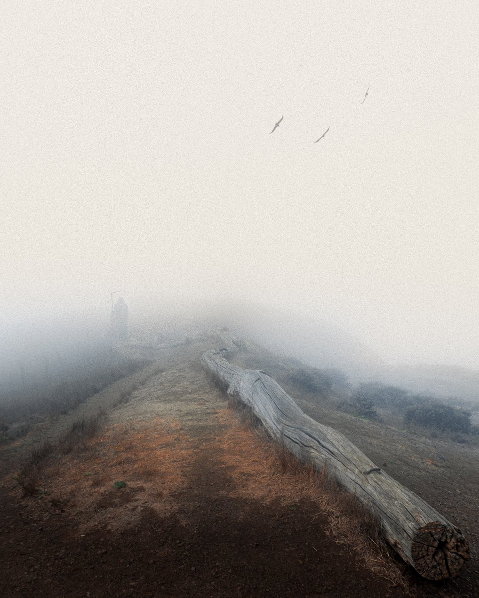 Visitor in the mist.