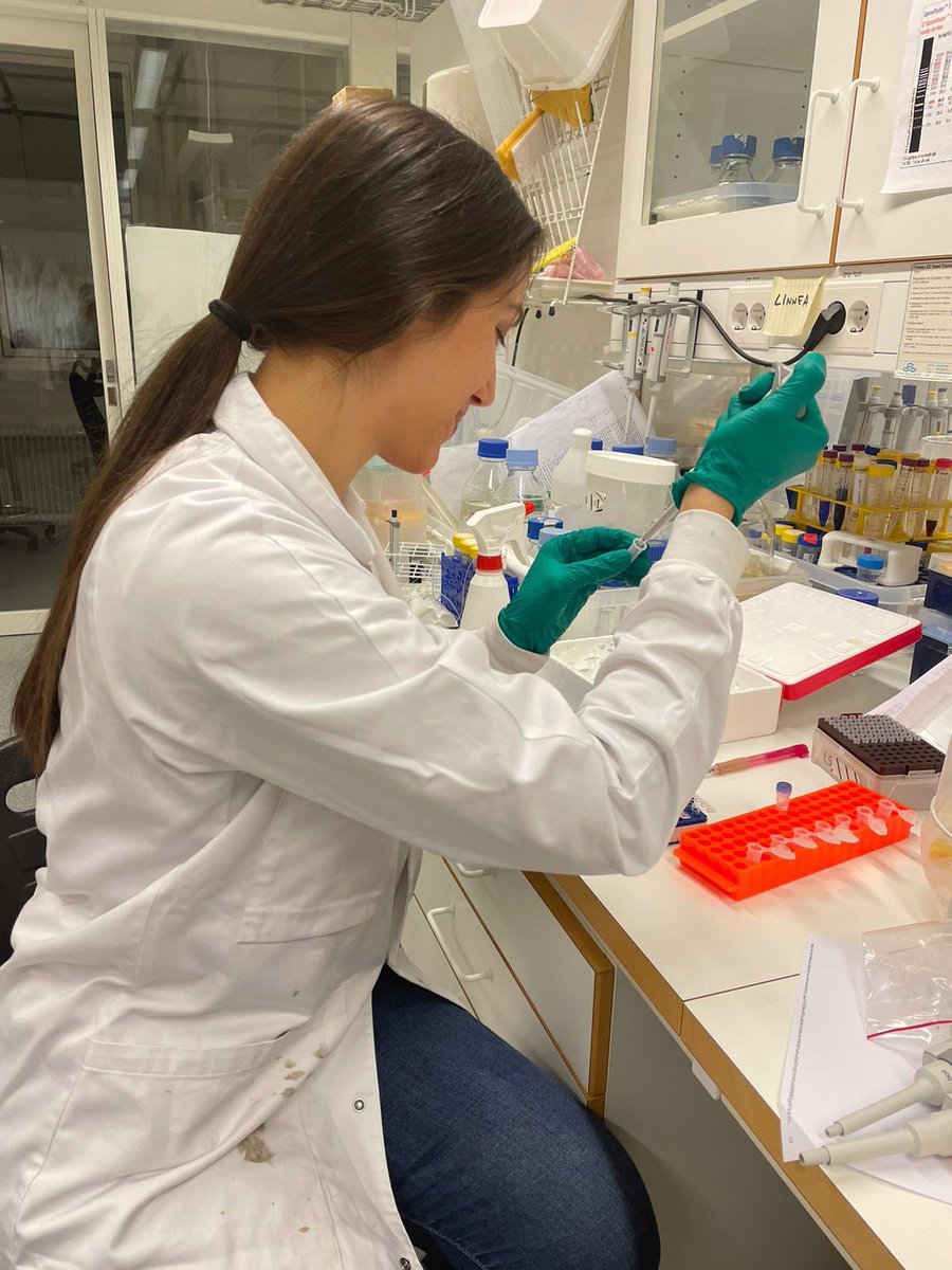 CvijovicLab tweet media