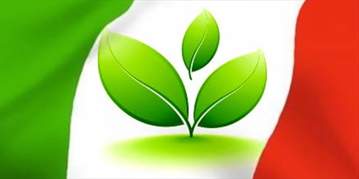 Giovanni Bozzetti tweet media