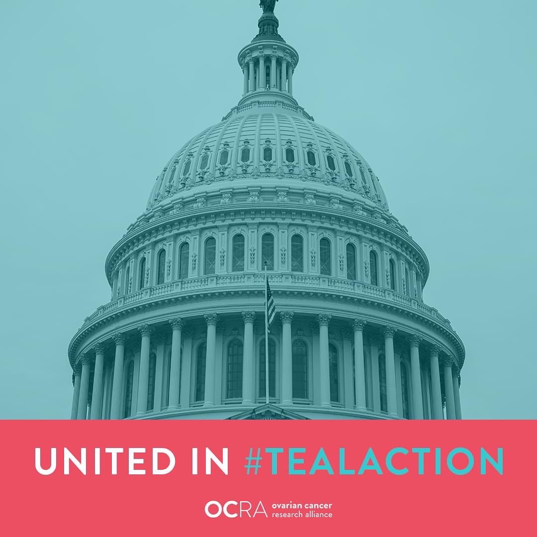 tiffyerinb's tweet photo. On this #internationalwomensday, #tealtuesday &amp; @ocrahope #springadvocacyday I’m representing Alaska &amp; my teal sisters at the offices of @SenDanSullivan, @lisamurkowski and @repdonyoung to advocate for funding for #ovariancancer research, education and awareness #tealaction https://t.co/vGdDLnAwrF