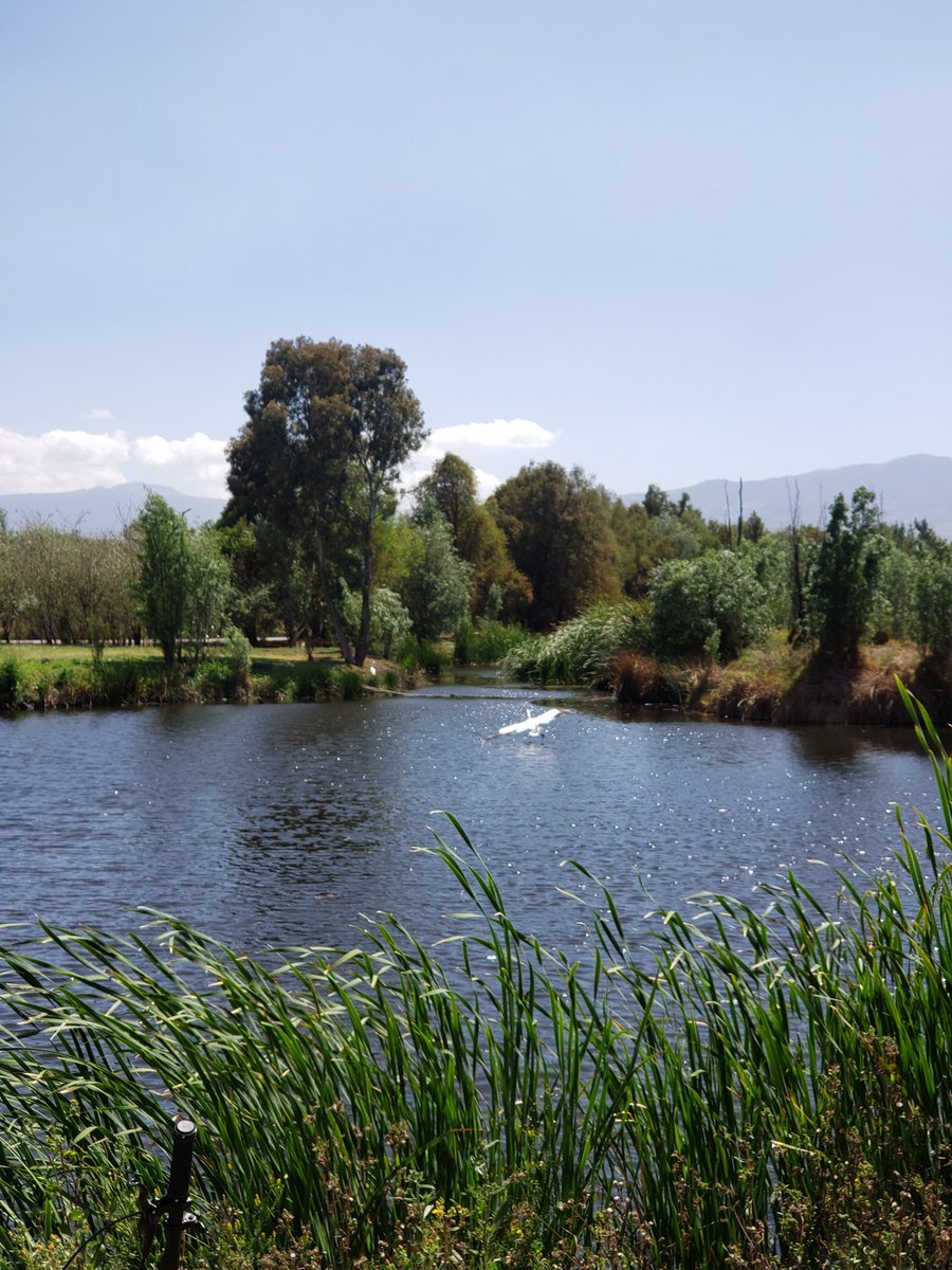 jcgarzep's tweet photo. #Xochimilco #xtads #alubike https://t.co/8gzP3aGr2A