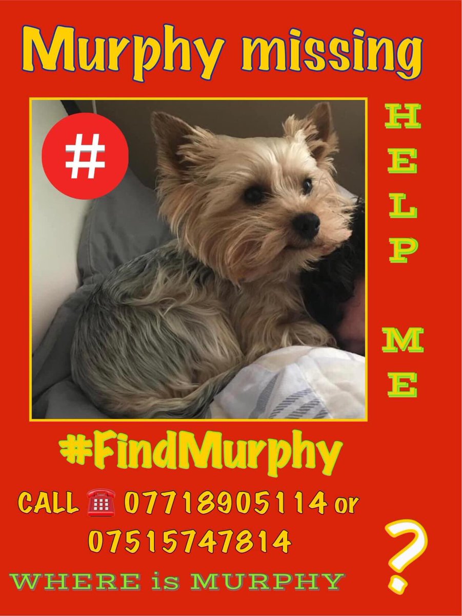 #findMurphy  @AFCPortchester #RT please #Twitterstorm on now to help